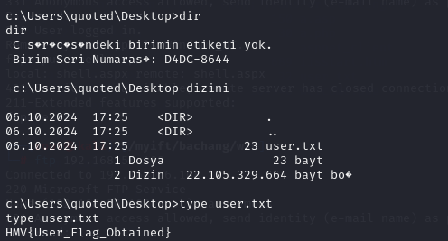 image-20250719203031920