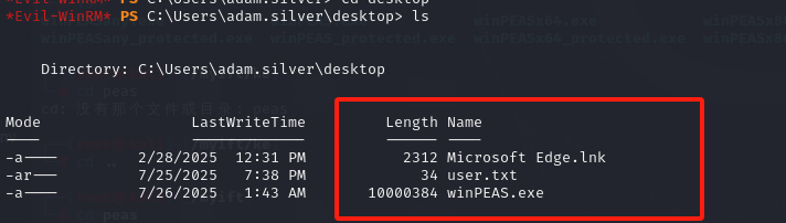 image-20250726101524330
