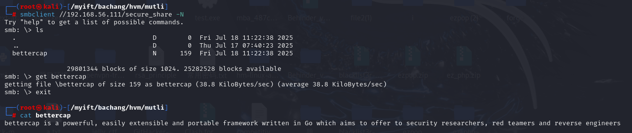 image-20251209210007377