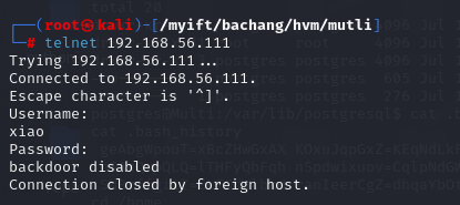 image-20251210185320017