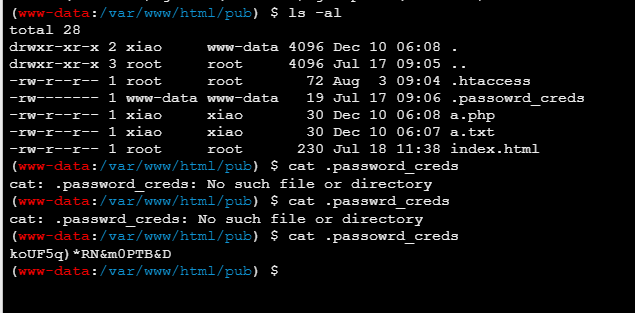 image-20251210191154398
